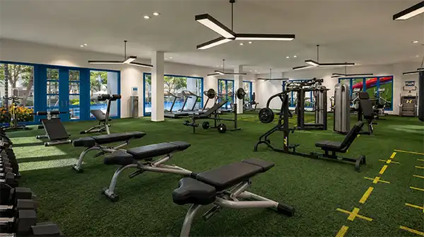 Gymnasium